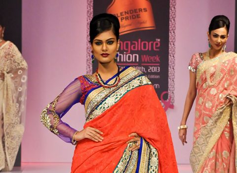 BFW 2013
